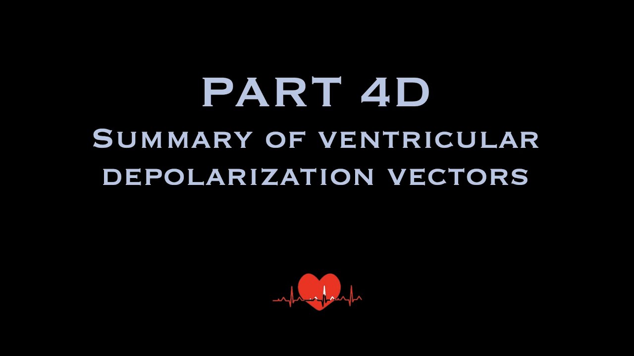 ECG: Depolarization & Repolarization PART 4D: Summary of ventricular depolarization vectors