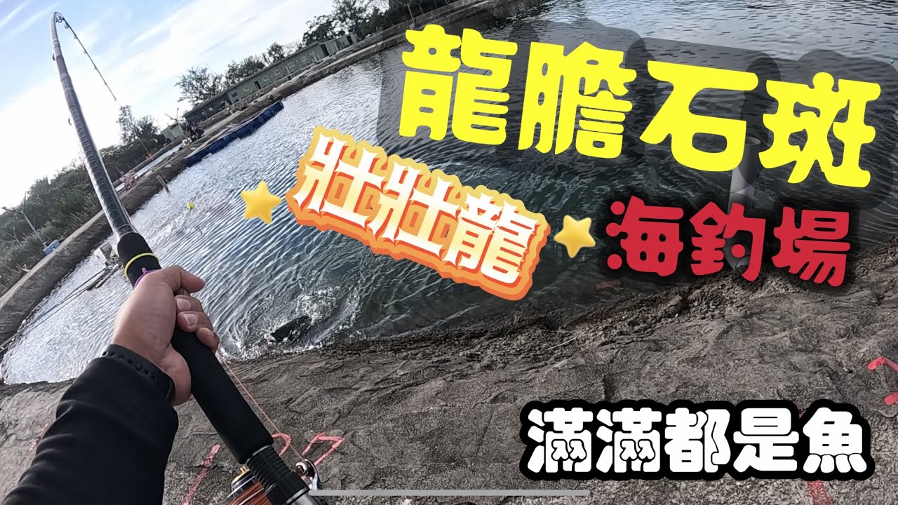 龍膽石斑開池，魚多到池邊都看的到！狀況連連，斷鉤、飛鉤、還有跌倒流血的⋯