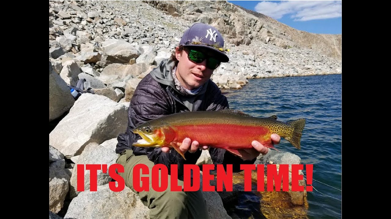 Fly fishing for golden trout in the Winds