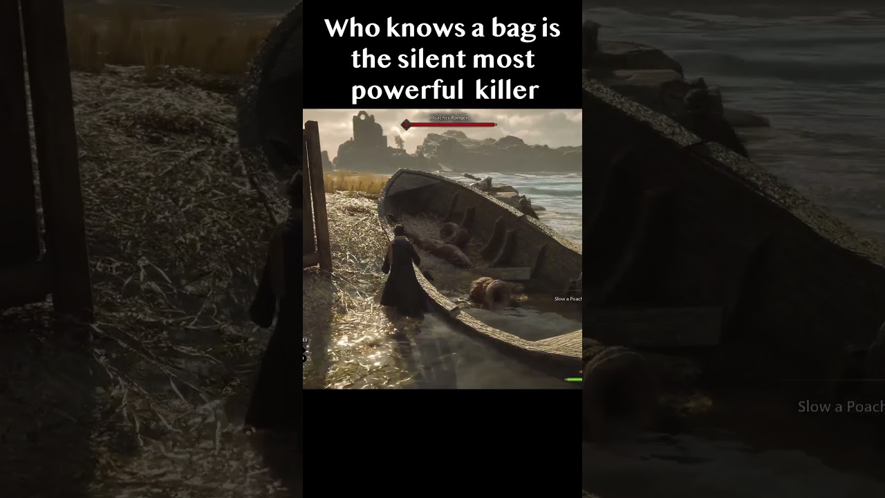 The trash bag is the silent killer - Hogwarts Legacy ps5
