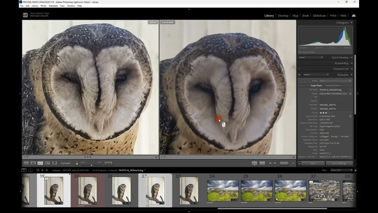 DENOISE AND SHARPENING IN LIGHTROOM