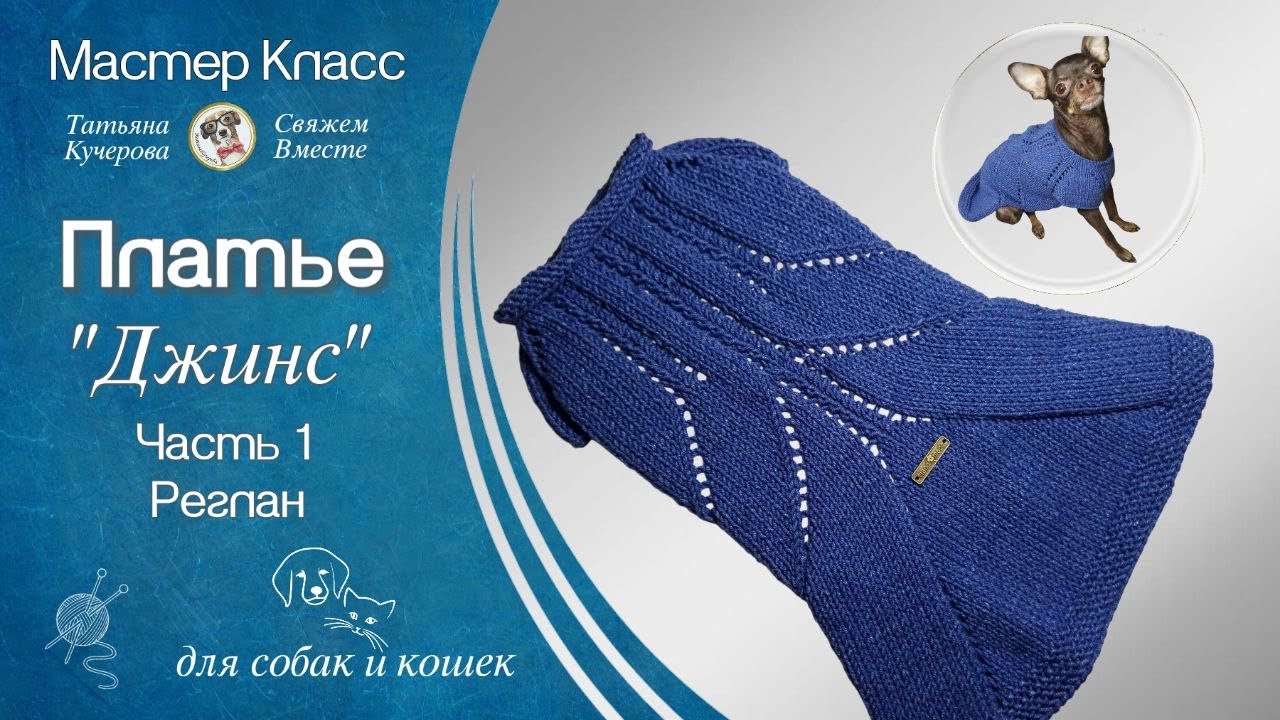 Летнее платье спицами для собак и кошек, Часть 1, реглан