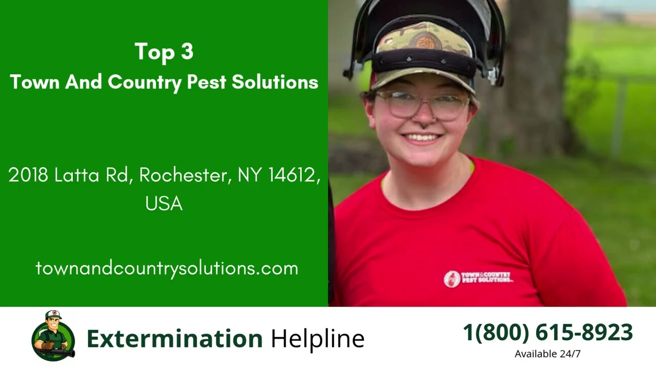 Top 3 Exterminators in Perinton