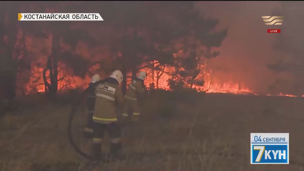Пожарные пытаются справиться с огненной стихией в Костанайской области