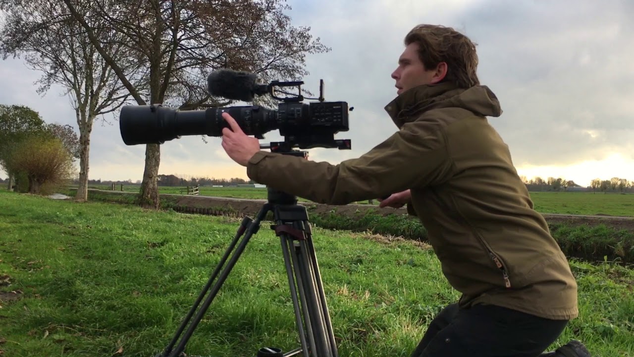 Promo natuurfilm over de Alblasserwaard
