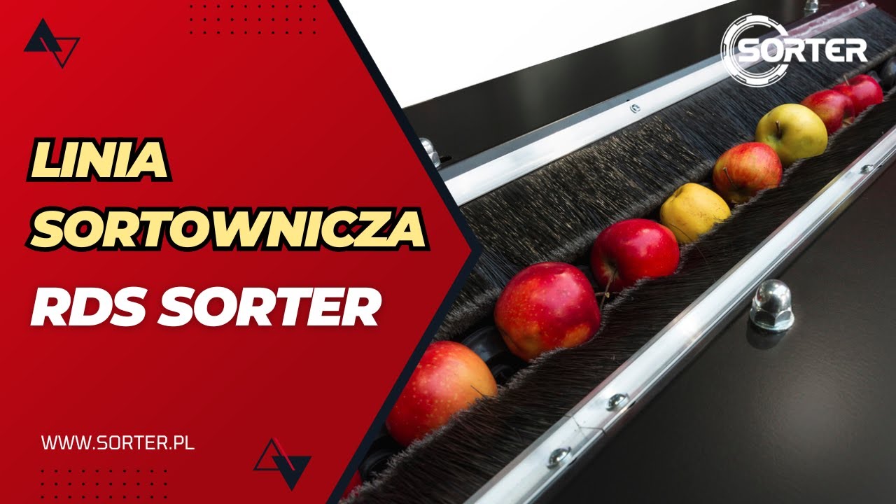 Maszyna RDS do sortowania owoc&oacute;w i warzyw | SORTER &bull; maszyny sortujące &bull; transport technologiczny