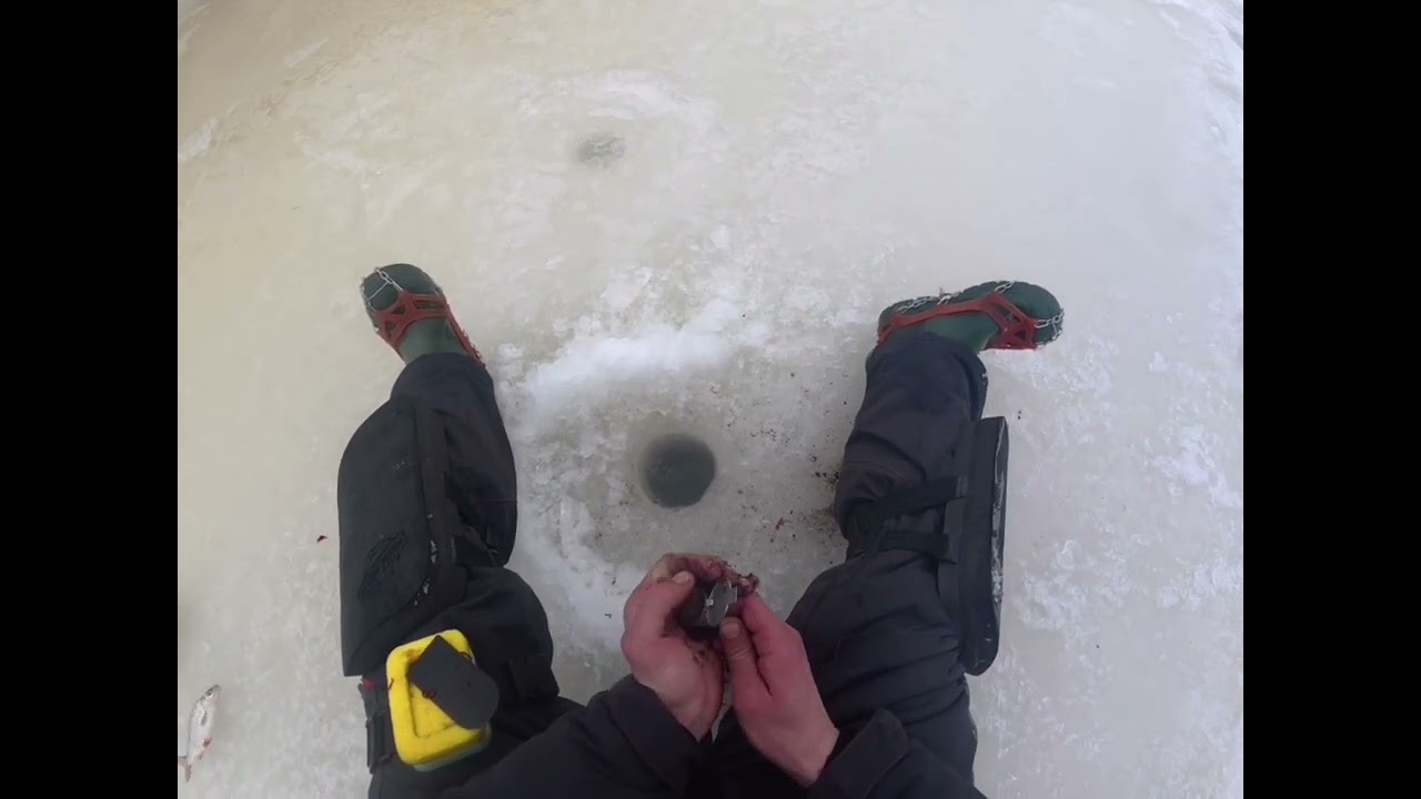 Kaip naudotis ActiveCaptain? + Žvejybos reportažas iš Danės upės