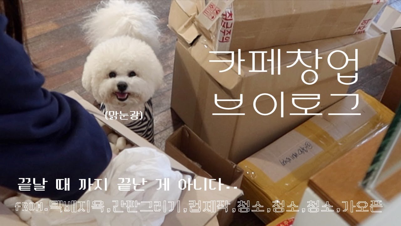 2년차 카페사장의 마지막 카페 창업 브이로그3..ㅎ [부제] 끝날 때 까지 끝난 게 아니다.  ( 인테리어 중단 / 컵 제작하기 / 간판 만들기 / 택배지옥 / 가오픈 벼락치기 )
