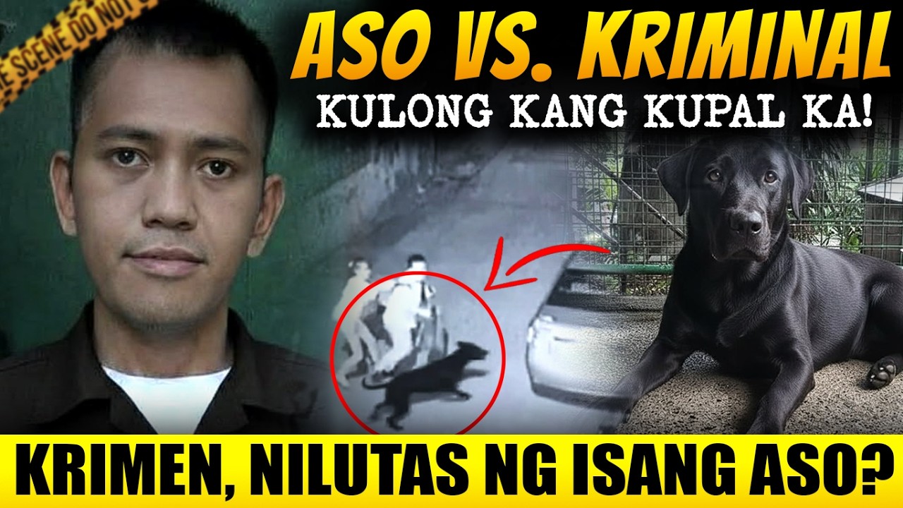 ASO LANG PALA ANG MAGPAPAKULONG SA KUMAG NA ITO - Tagalog Crime Story
