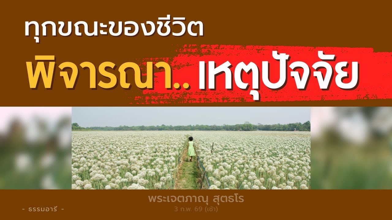 'การพิจารณา' เลือกทำหรือไม่ทำสิ่งใด เป็นธัมมวิจัย..เป็นปัญญา | พระเจตภาณุ สุตธโร | 3 ก.พ. 69 (เช้า)