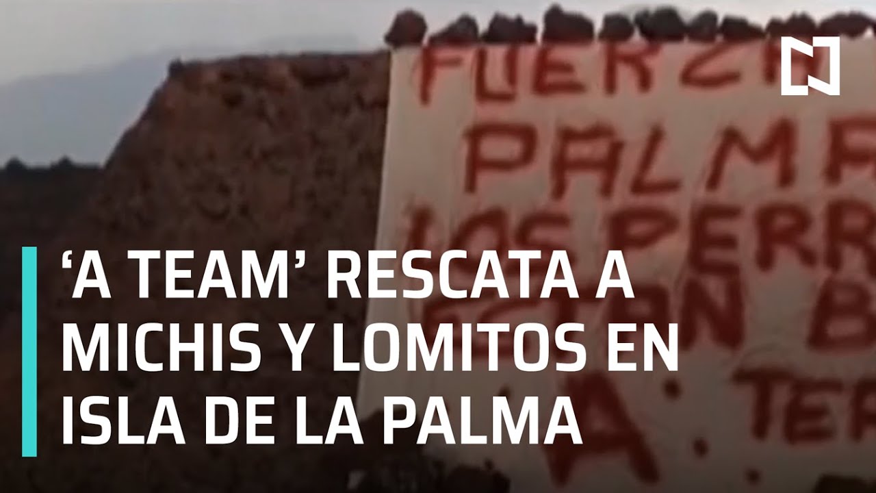 Grupo misterioso rescata a mascotas atrapadas en la Isla de la Palma - Expreso de la Ma&ntilde;ana