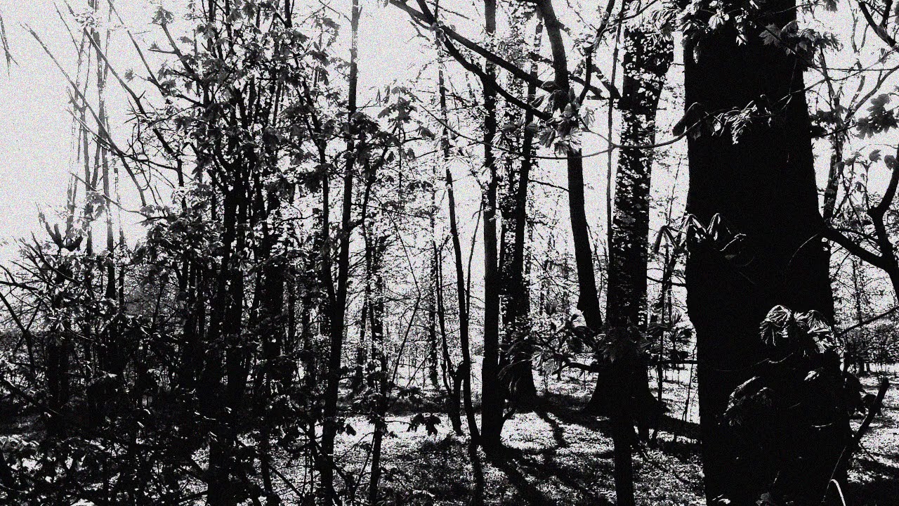 Echtra -  Sky Burial I