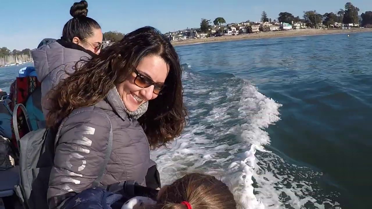 Whale watching in Santa Cruz, CA