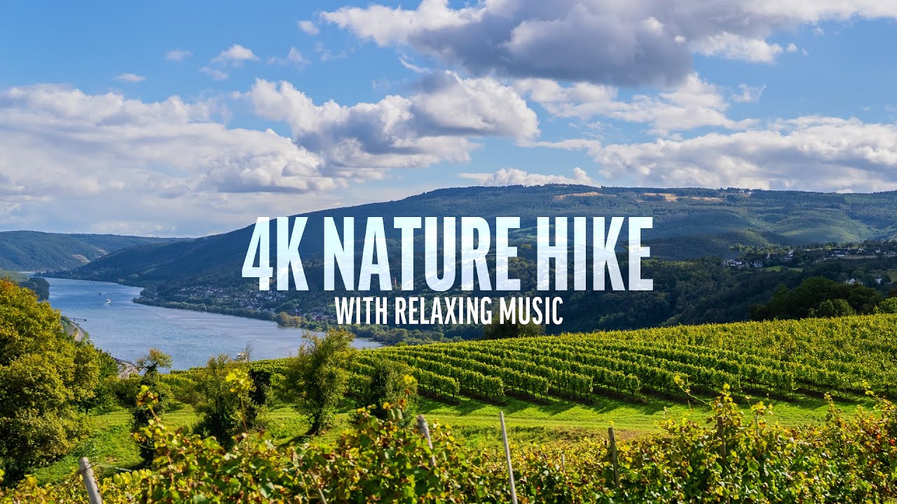 Virtual Nature Hiking Tour from Germany&rsquo;s Rhine River Valley Countryside