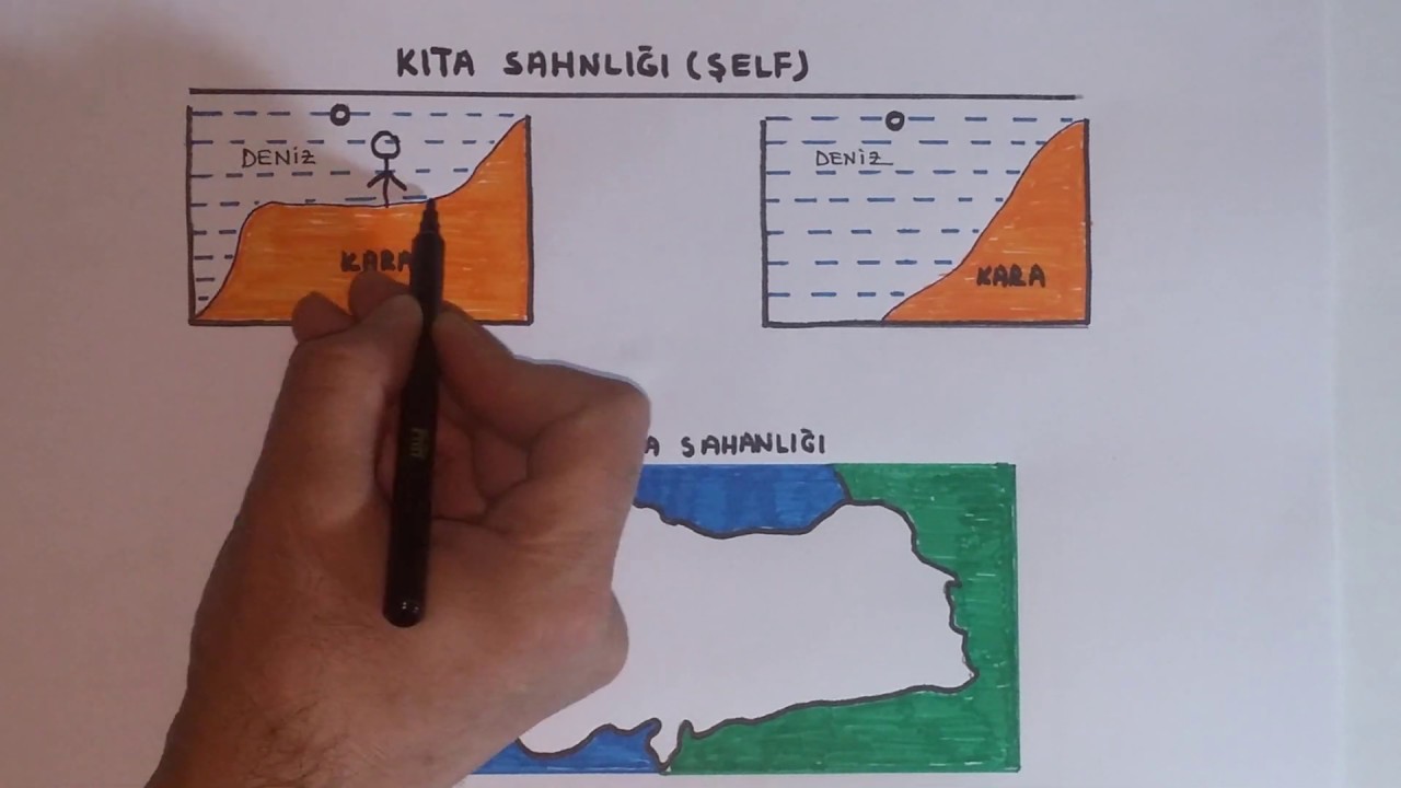KITA SAHANLIĞI ! (şelf)