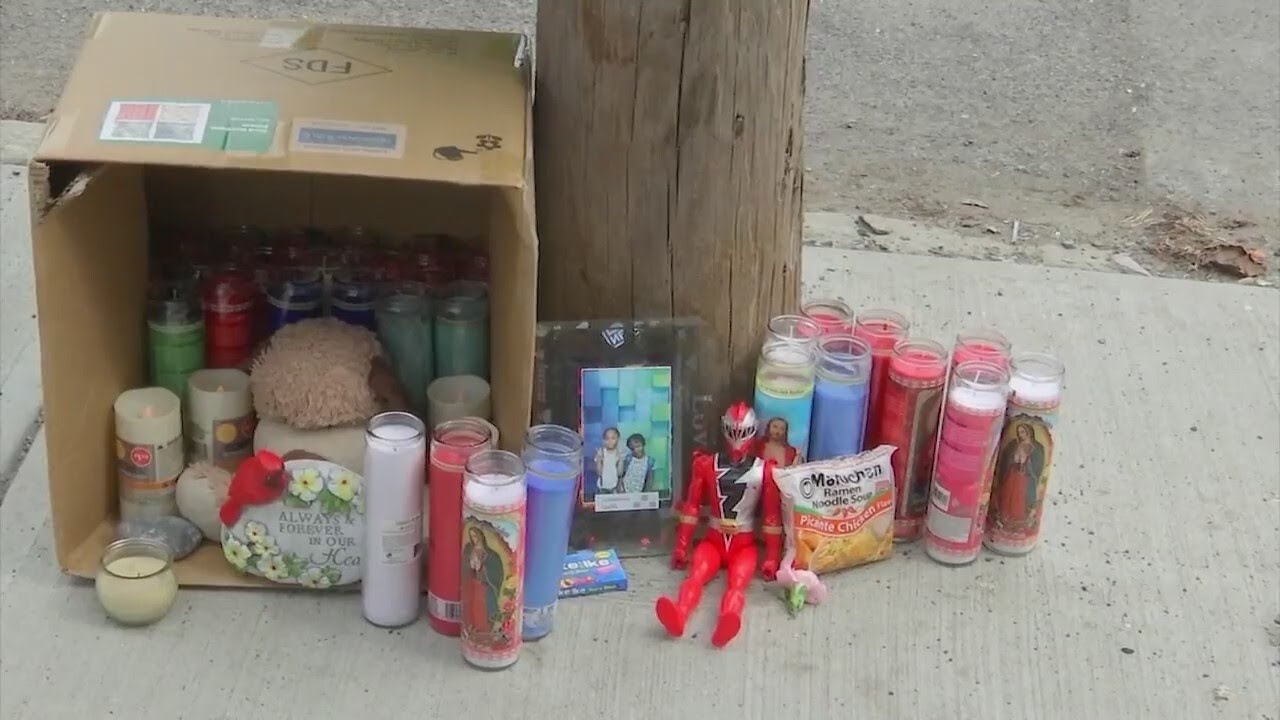 Family of 8 year old killed in hit and run speaks out