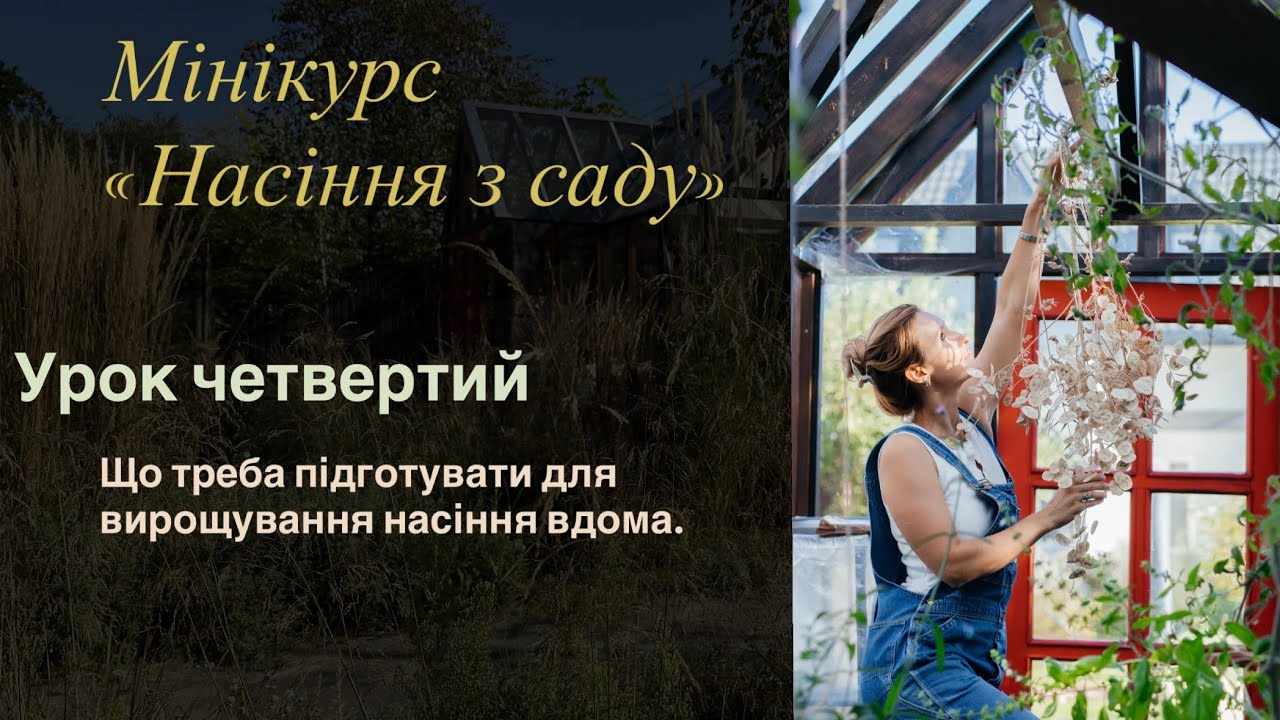 Урок 4. вирощування насіння вдома