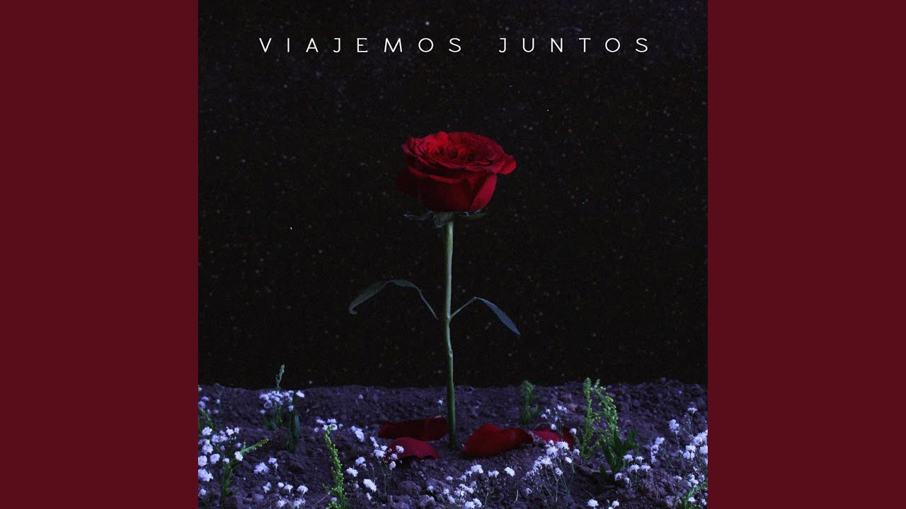 Viajemos Juntos