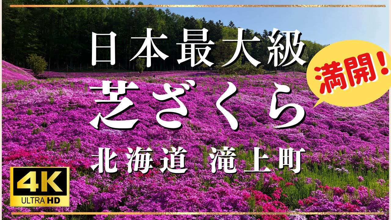 絶景 4k 芝ざくら滝上公園 ドローン空撮！ Hokkaido aerial drone footage.