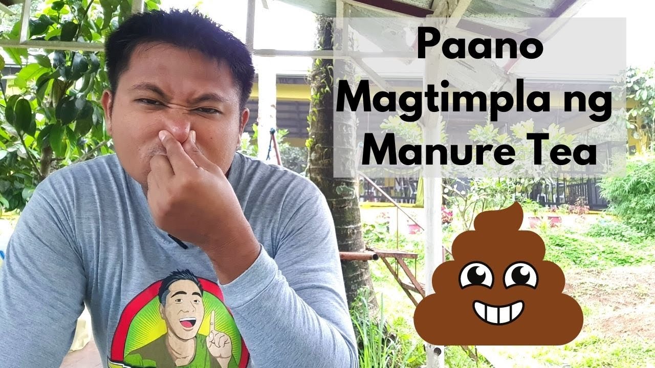Paano Magtimpla ng Manure Tea
