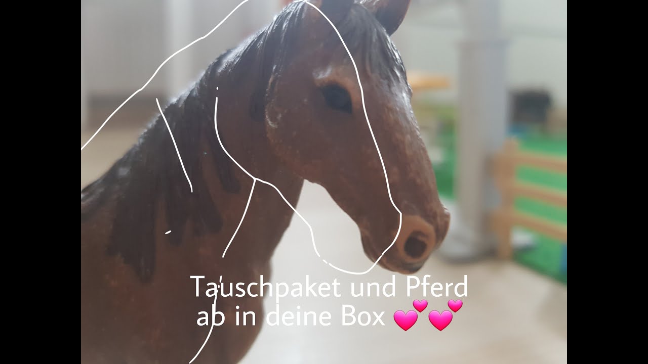 Tauschpaket+Pferd ab in deine Box 💕🥰