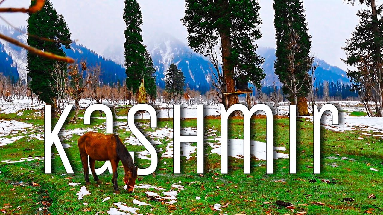 Khyber Medical College's first ever Community Medicine trip to Kashmir | Best trip of MBBS life