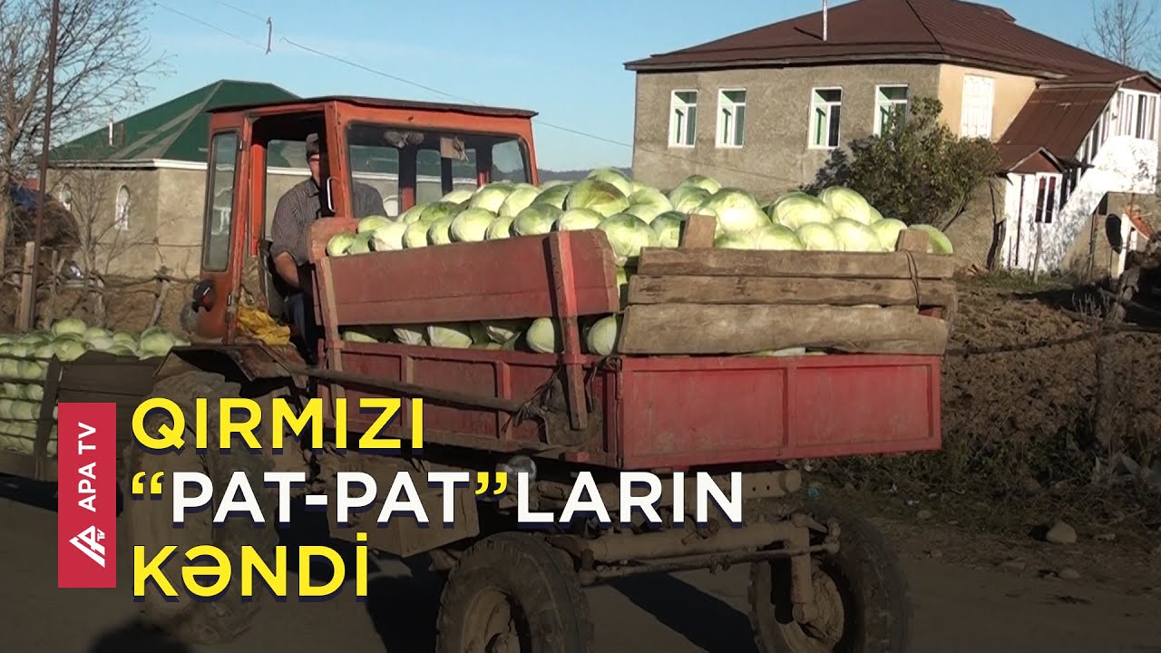 Qusarın bu kəndində hamının traktoru var - APA TV