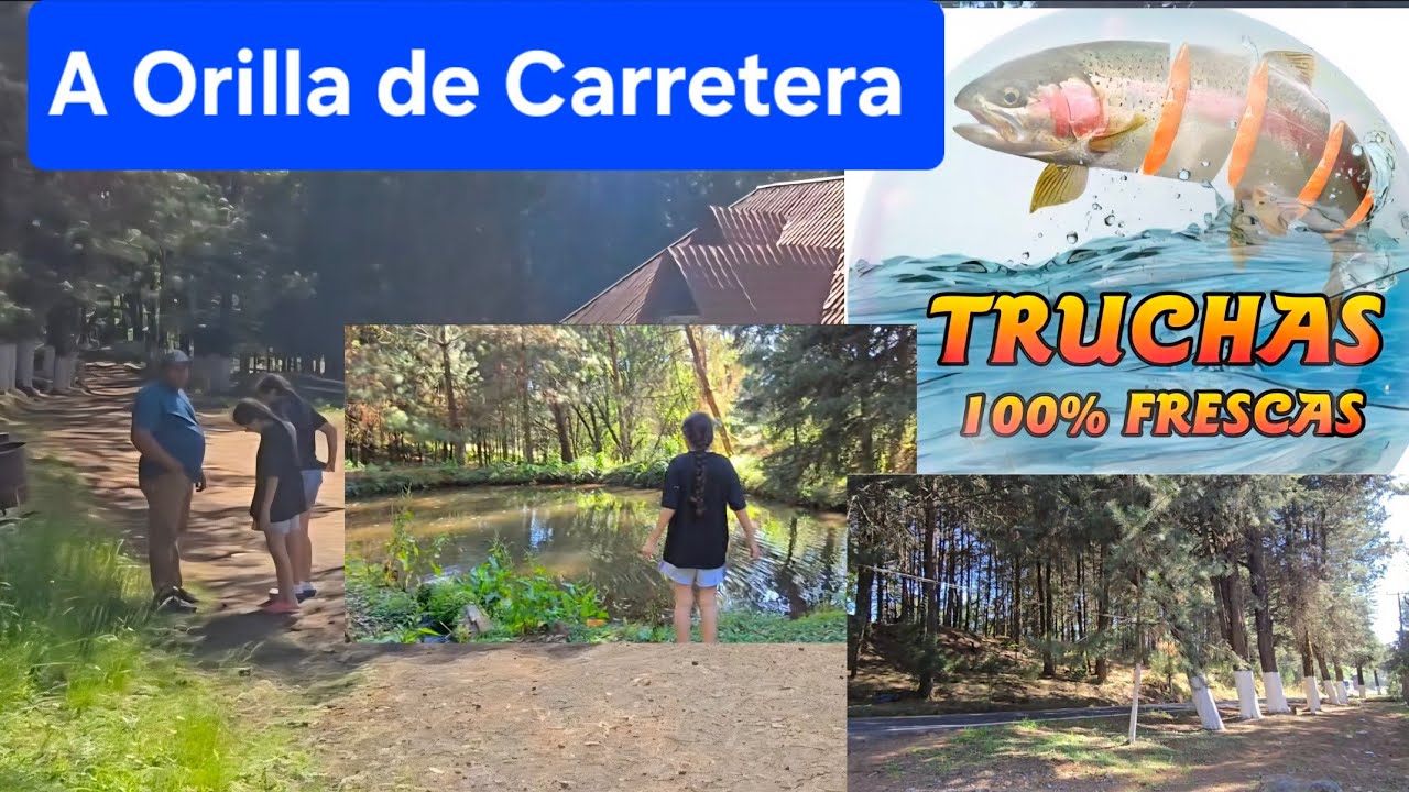 🔥¡La TRUCHA más FRESCA que he COMIDO!😎