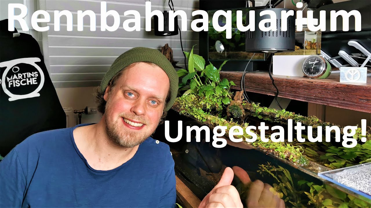 RENNBAHNAQUARIUM UMGESTALTUNG! Bepflanzter Landteil mit bewässerter Wurzel