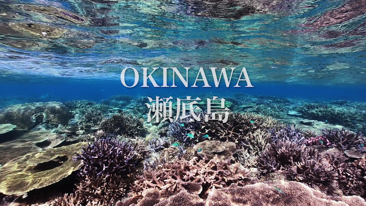 Snorkeling at a beautiful coral reef and crevasse in Sesoko Island, Okinawa｜シュノーケリング＠沖縄の瀬底島