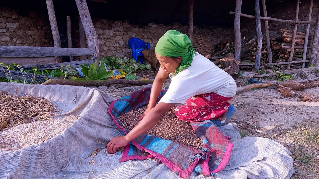 this is village Nepal || sarmila in her farm house || @bhumicooking