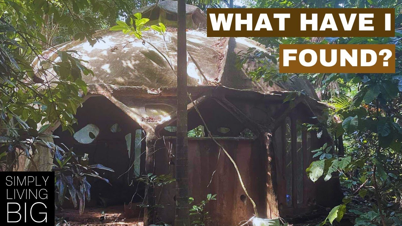 I found the ruins of an old, abandoned artist colony on a tropical island.