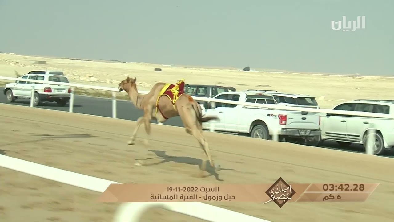 ش4 مغادر لـ محمد سالم مسعود قطامي المري (ميدان لبصير المحلي الخامس 19-11-2022م) زمول