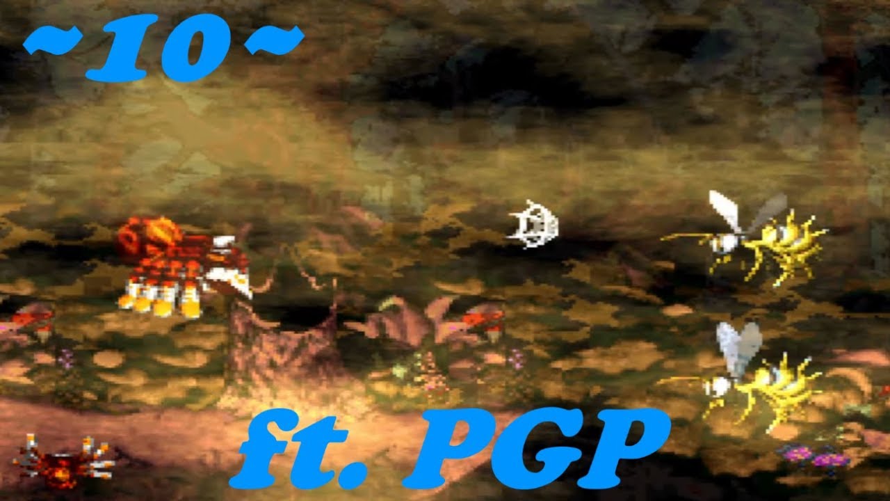DKC2, Diddy's Kong Quest - [10]: The PGP Factor, ft. PGP @ArcadeRegiment
