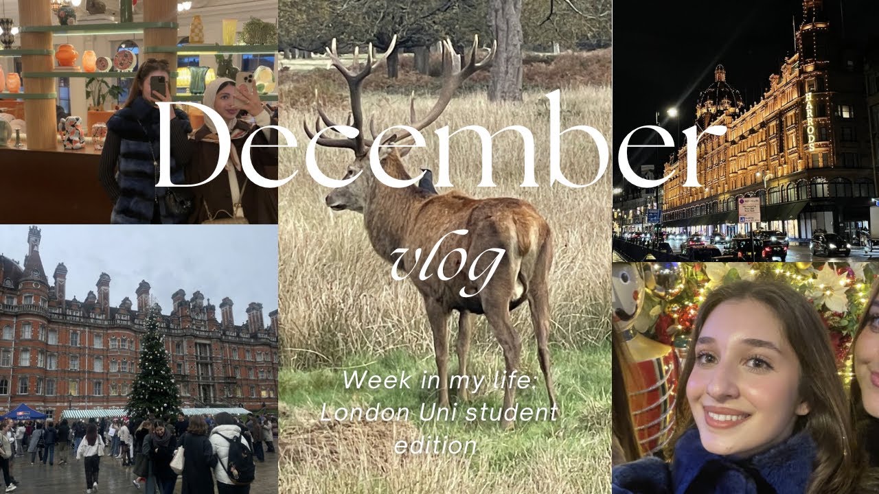 Wholesome week in my life as a law student in London | matcha,walks,groceries and more🍵🚶‍♀️🎄