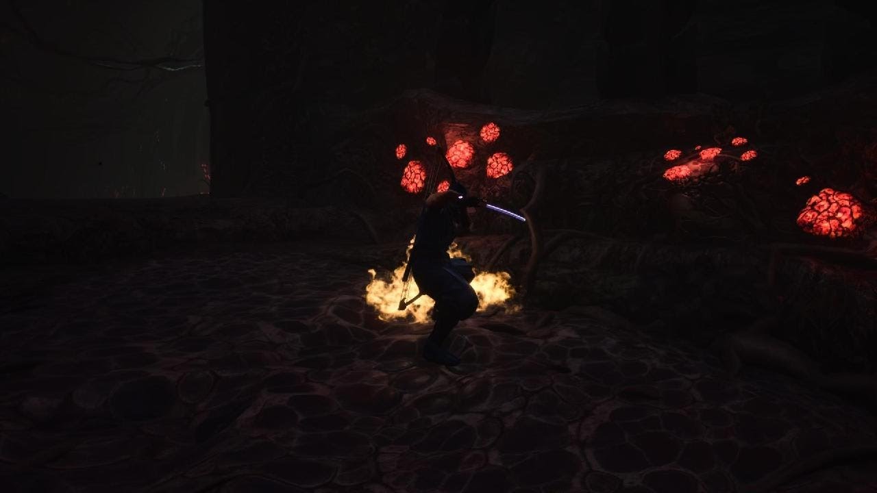 NINJA GAIDEN 2 Black+15_20260314093406