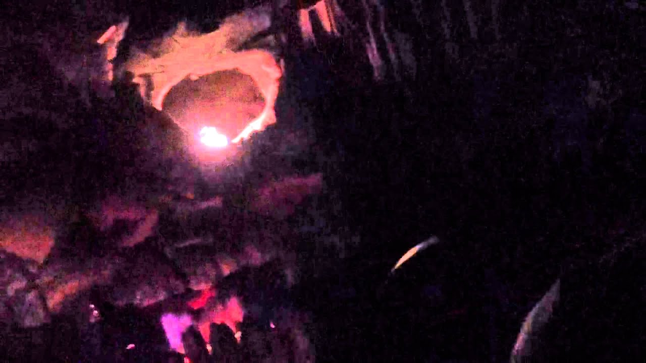 Disneyland's Indiana Jones Adventure