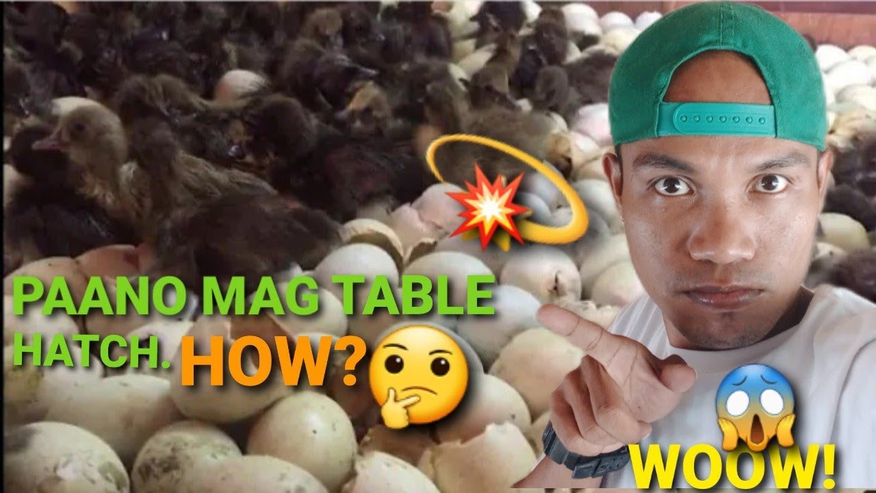 PAANO ANG TAMANG PARAAN SAPAG TITABLE HATCH. HOW?