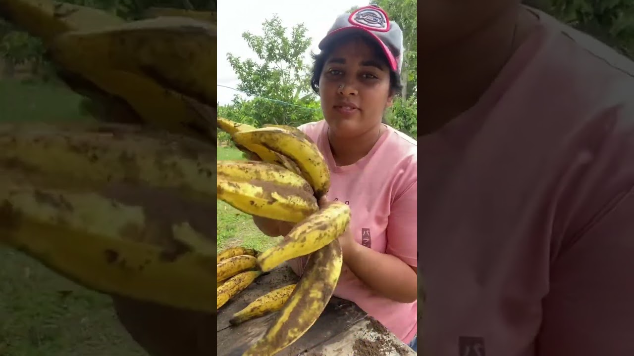 A banana enterrada parte 2 #ro&ccedil;a #mato #vidanocampo #comida #sitio #almo&ccedil;o #vidanaro&ccedil;a #simplicidade