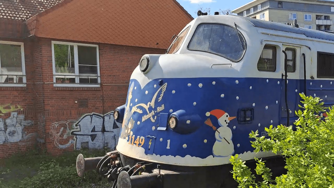 Züge in Elmshorn (08/05/2024)