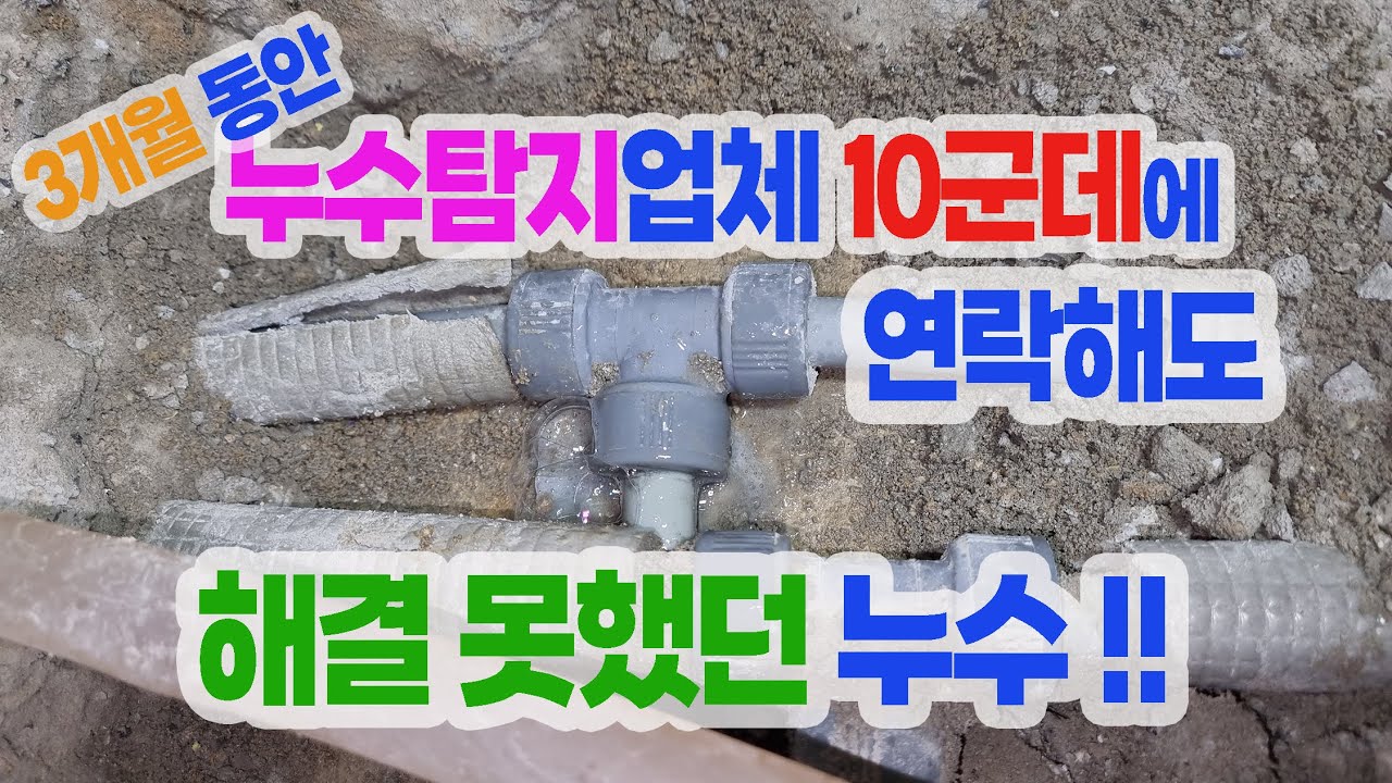 3개월 동안 누수탐지업체 10군데에 연락해도 해결 못했던 누수 현장