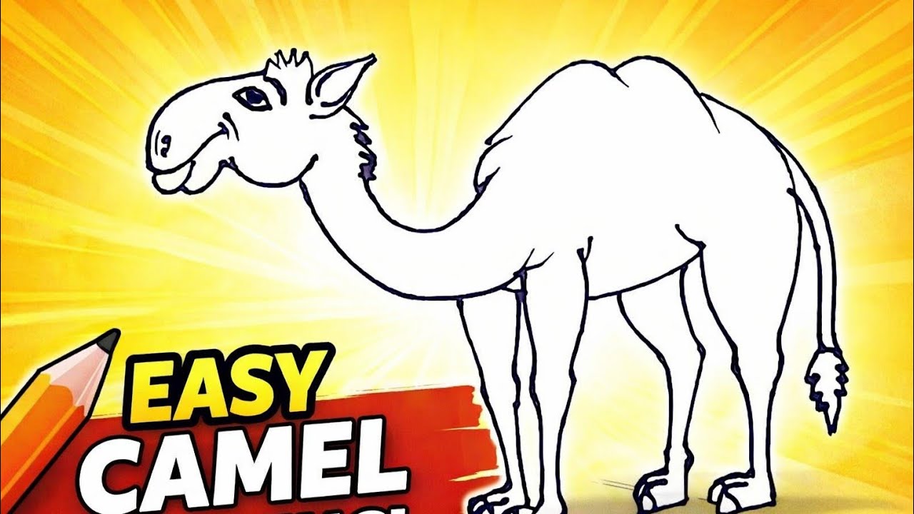 Camel drawing for beginners/easy animals drawing 