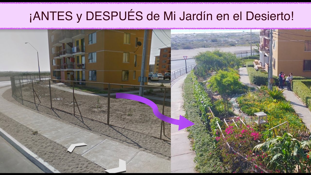 El ANTES y DESPUÉS de Mi Jardín en el Desierto