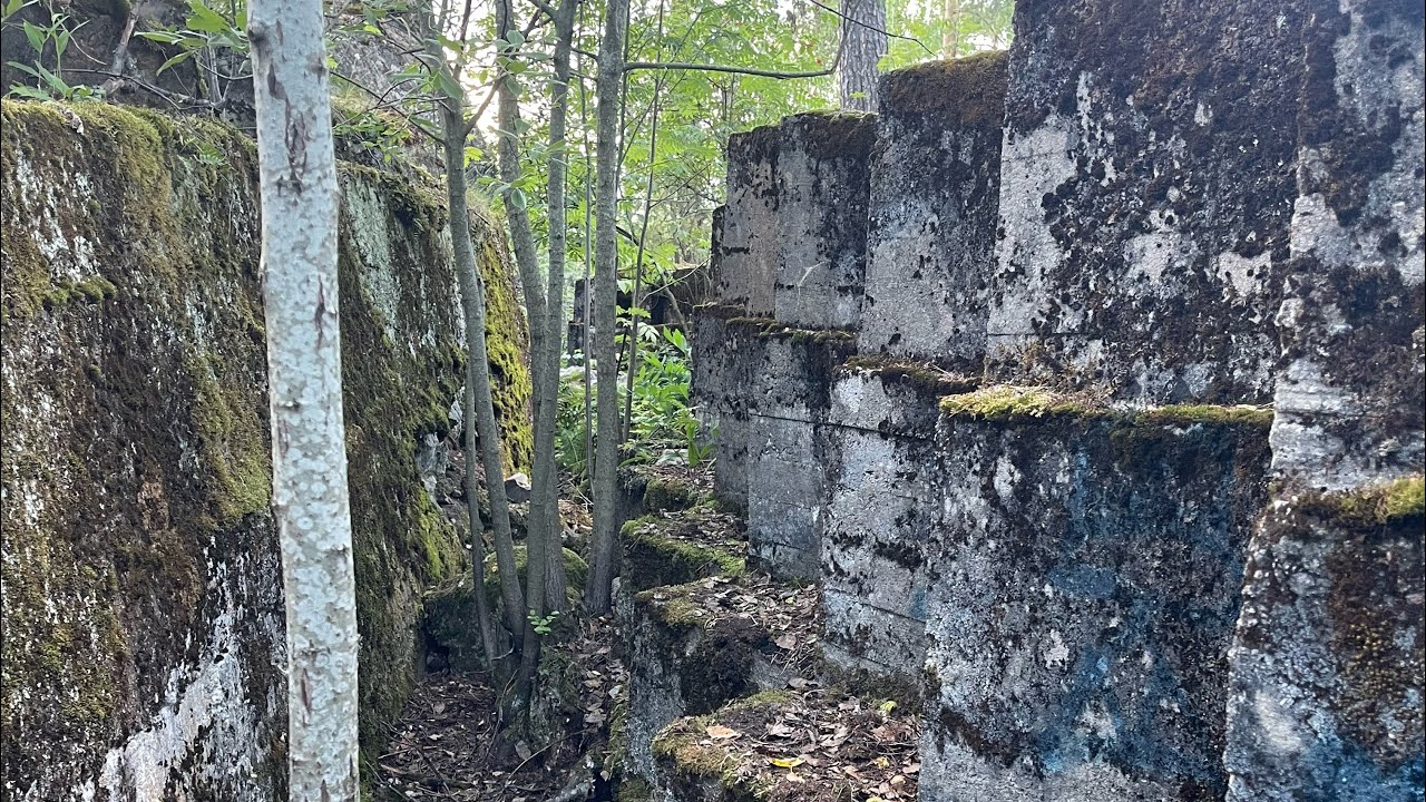 Kurkimäen WWI Juoksuhaudat (Tukikohta VII, asema 2)