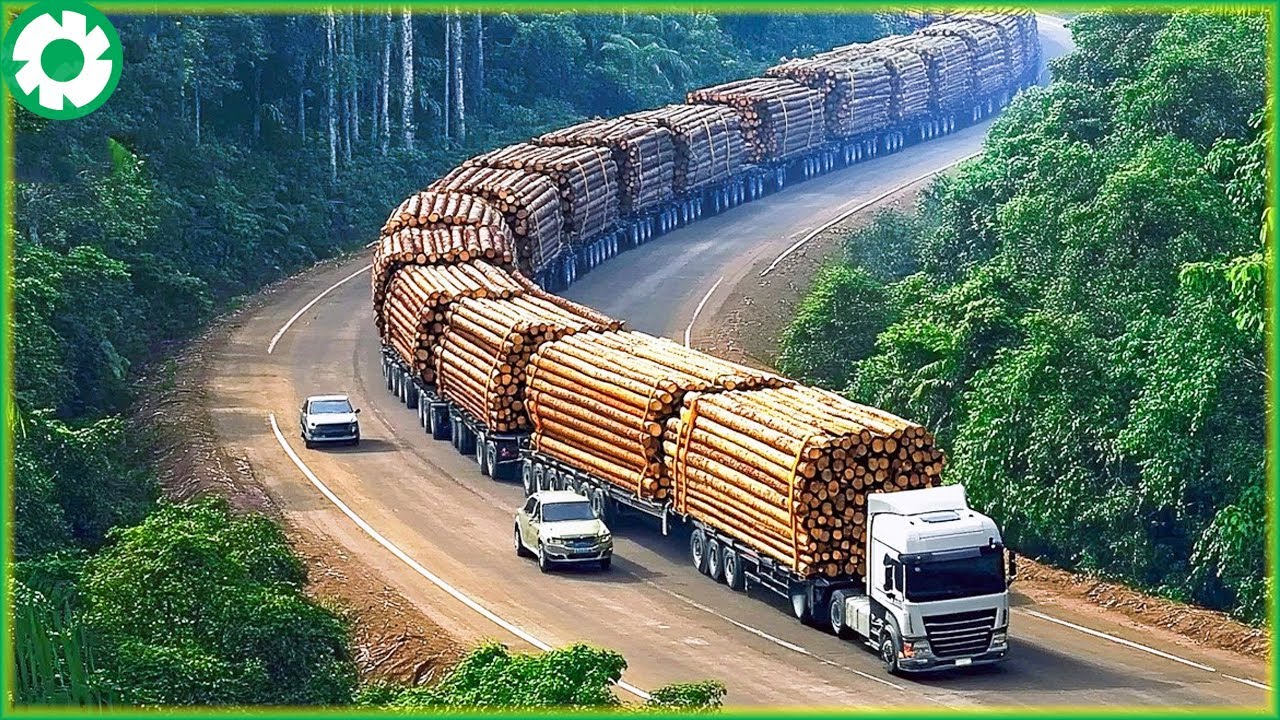 Transport Skill Operations Oversize Truck Biggest Heavy Equipment Machines | Best of Month
