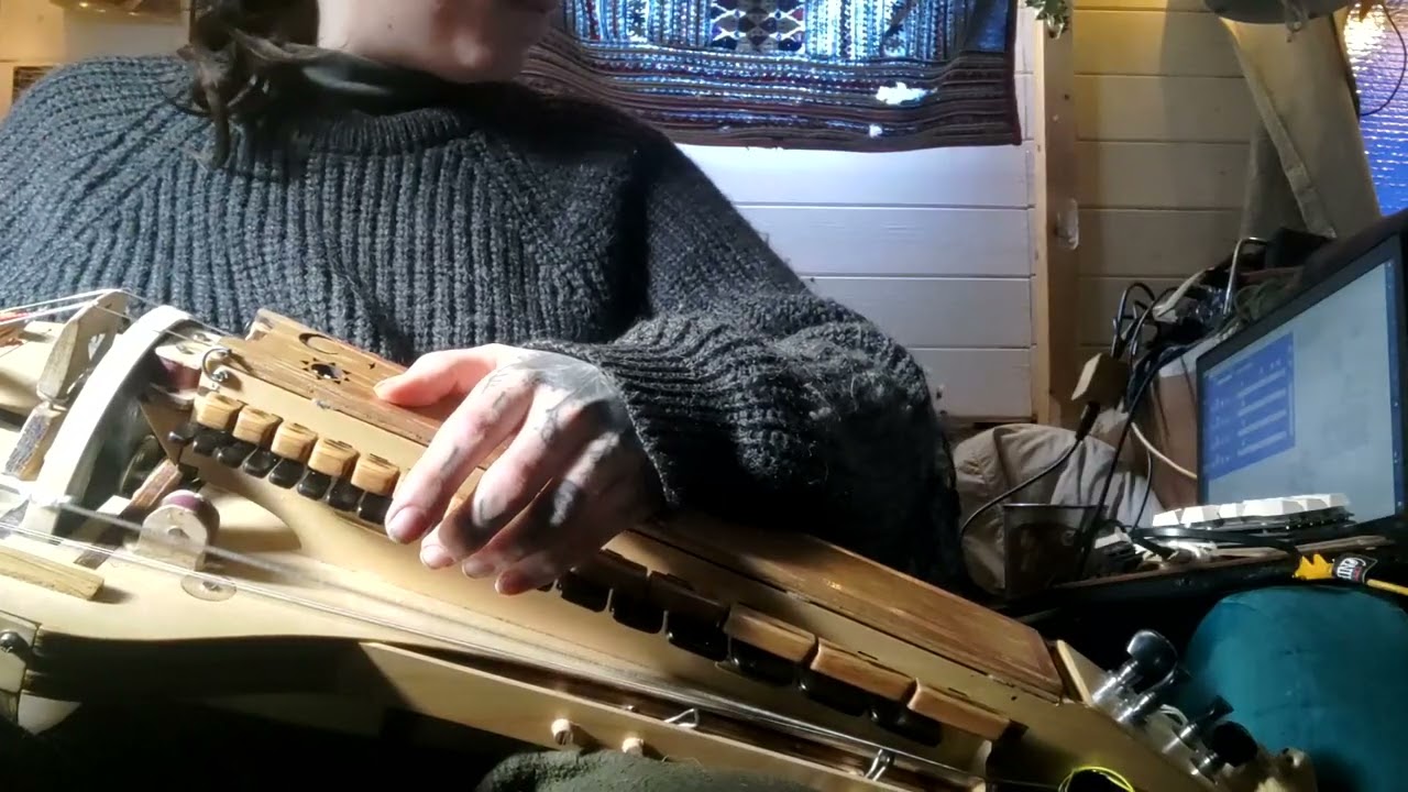 Hurdy Gurdy though a pure data looper with M8 tracker drums!