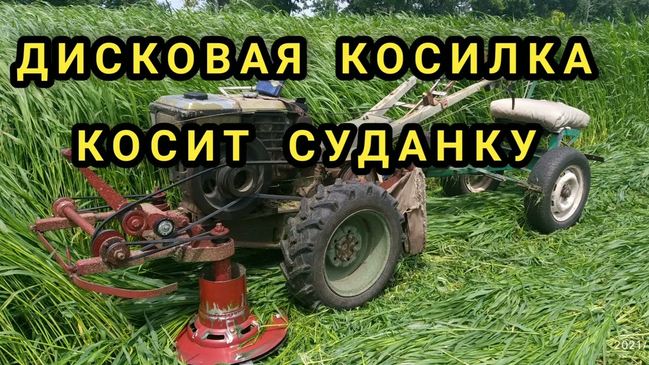 Кошу суданку дисковою косаркою