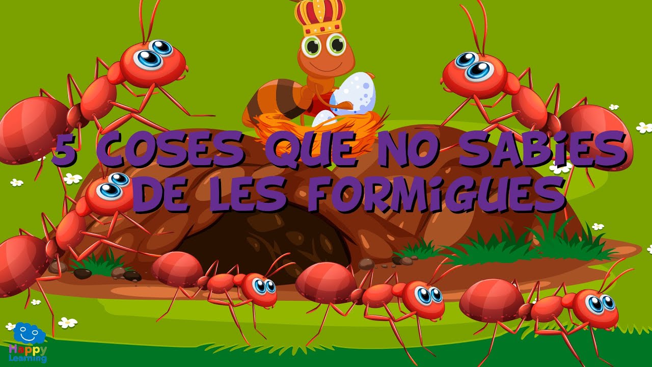 5 curiositats de les formigues | Vídeos educatius per a nens en llengua catalana