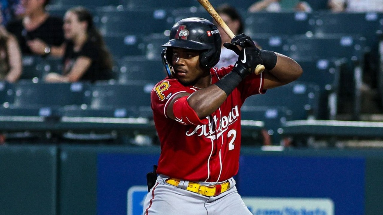 Termarr Johnson 2025 Minor League Highlights!