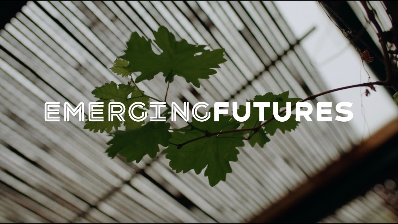 Emerging Futures Drug & Alcohol Services Hertfordshire